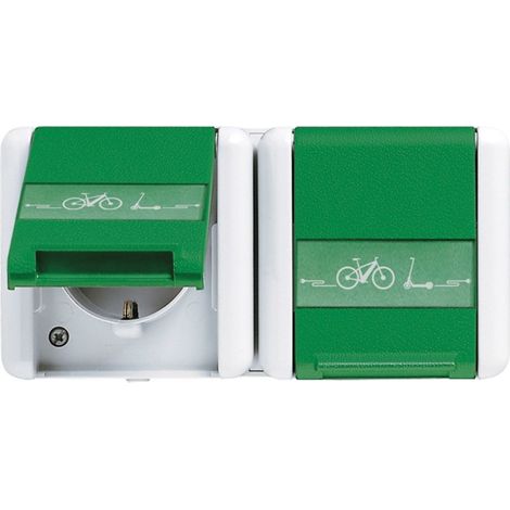 Jung SCHUKO®-Zweifach-Steckdose, verdrahtet, 16 A 250 V  mit E-Bike-Ladesymbol, mit Schriftfeld, waagerecht, IP 44, WG 800, grün (für SV) 8220 GN NAWEB