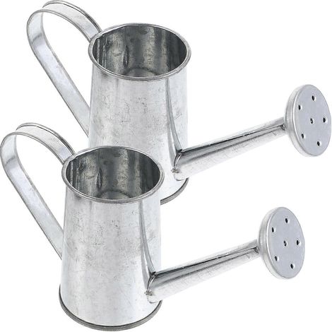 Arrosoir en fer, mini pot de fleurs, lot de 2, pour intérieur et extérieur (1/5)