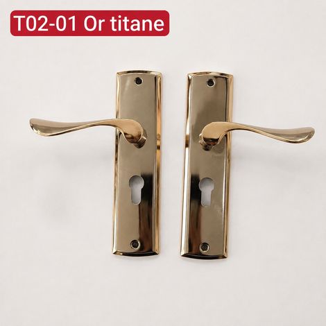 Serrure mécanique à panneau avec poignée T02-01 titane doré pour porte intérieure en bois t02-01 1 kg – Livraison gratuite