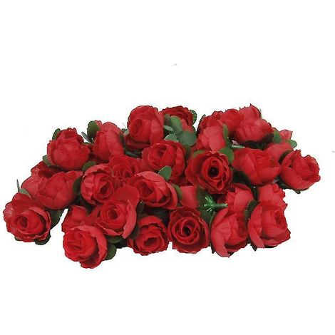 60 têtes de roses (1/3)