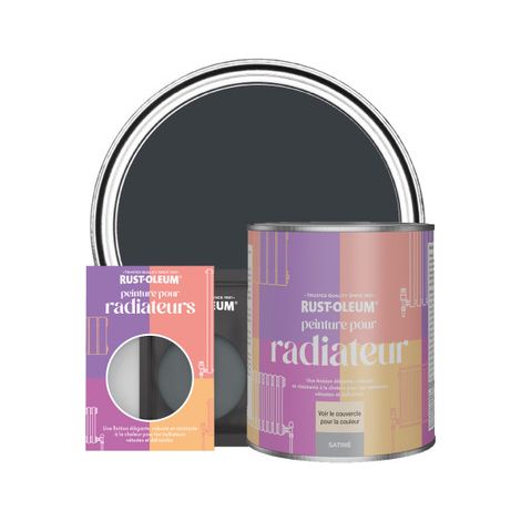 Peinture pour Radiateur, Finition Satinée - Anthracite (RAL 7016) (1/3)