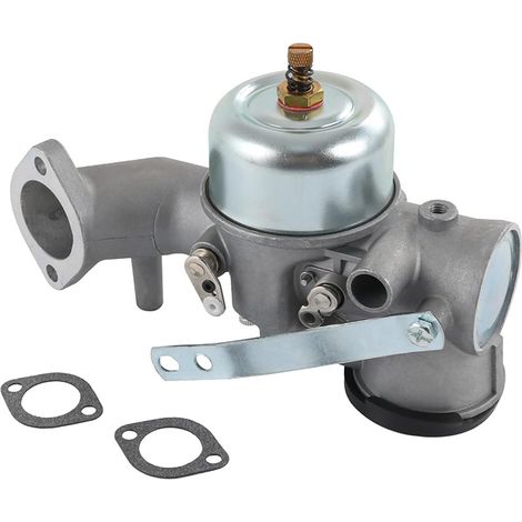 Convient aux carburateurs Briggs & Stratton 491026, 491031, 490499, 281707 12HP (avec joints). (1/5)