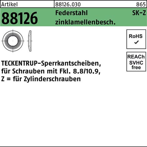 Sperrkantscheibe R 88126 Z 16x24,6x2,5 Federstahl zinklamellenbeschichtet (1/2)