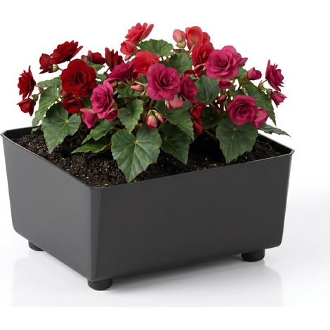 Jardinière Carrée avec Pieds Élégants – Bac À Fleurs Noir en Plastique Robuste 28,5 x 28,5 cm, 7,5L – Résistant Aux Intempéries (1/5)
