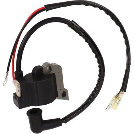 Kit Cdi - Bobine D Allumage - Pour Moteur 49cc 4 Temps - Velo Motorise - 1 Unite (1/5)