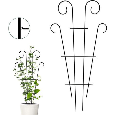 Support Pour Plantes Grimpantes - Cadre En Fer - Pour Jardin Intérieur Extérieur - Hauteur 4 cm - Largeur 3 cm - Épaisseur 0,3 cm - 1 Pièce (1/5)