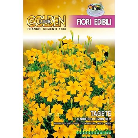 SEMI TAGETE TENUIFOLIA LEMON EDIBILE FRANCHI SEMENTI