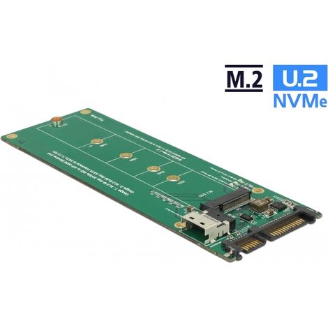 Delock Convertidor U.2 SFF-8654 o SATA a 1 x ranura M.2 con clave M