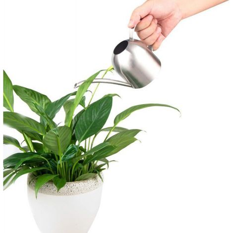 Arrosoir en acier inoxydable brossé de style moderne, petite taille pour plantes sur table de bureau (500 ml) (1/5)