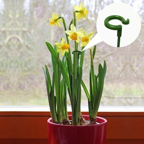 10 Stück Pflanzenstütze Rankgitter Pflanzenstäbe 17 cm wetterfest Pflanzenstabilisator Zimmerpflanzen Kunststoff Pflanzenstab Grün (1/5)