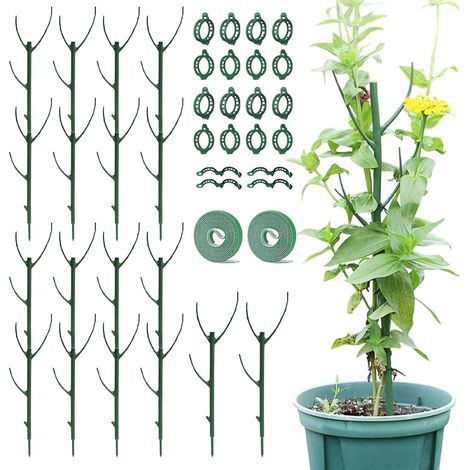 10 Pièces Tuteur Plante, Tuteur, Tuteur Plante Intérieur, Tuteurs Plante Grimpante, Empilable avec Attaches et Clips, pour Orchidées, Plantes Grimpantes, Tomates Intérieur Extérieur (1/5)