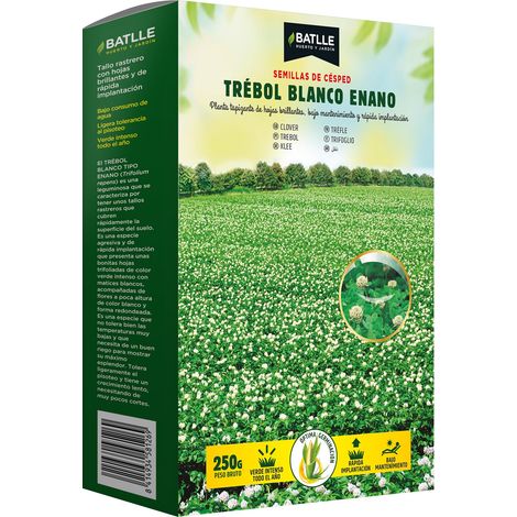 Productos Jardineria Trebol Blanco Enano Repens (1/4)