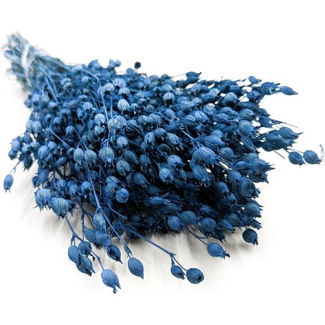 Silene - Azul