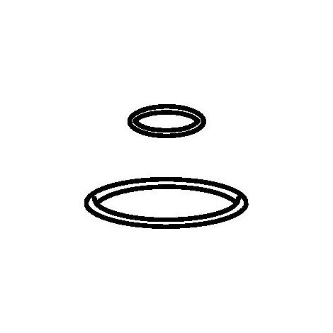 Hansa O-Ringsatz 59913320
