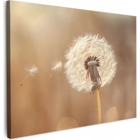 TABLEAU SUR TOILE Pissenlit - Beige - Nature - Fleur Décoration Murale 40x30 cm