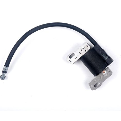 S-giant Bobine d'allumage électronique pour Briggs & Stratton 715231 799650 795315 690248 Armature