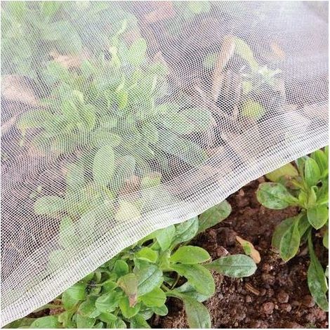TAISHENGDA-Garteninsektennetz für Gemüsegärten: 1,2 x 5 m Feinmaschengewebe, Schutz für Lauch, Obstbäume und andere Gartenpflanzen, weiße Pflanzenabdeckung (1/5)