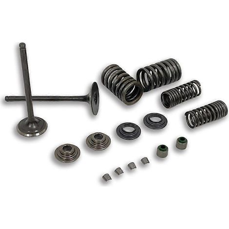 Kit de ressorts de soupape d'admission et de joint de tige d'admission pour moteur de moto 14711-KSP-910, compatible avec Honda CBF150, XR150, KTT150 et SDH150 (1/5)