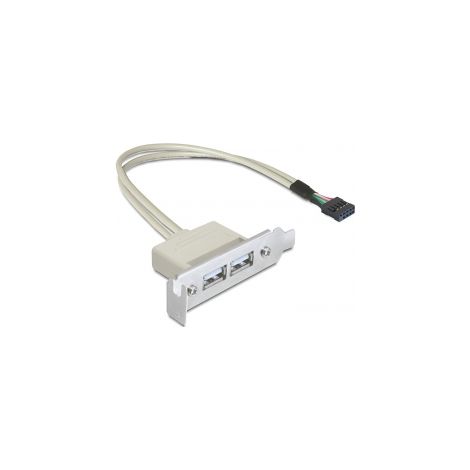 Slot bracket USB 2.0 low profile 2 puertos