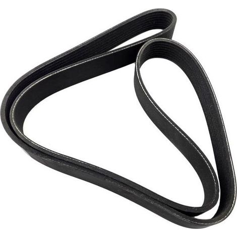 Cinturón accesorio Volvo MAN TGA TGL TGM TGS TGX 21190818 (1/4)