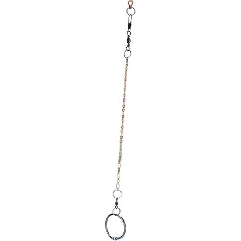 Chaîne oiseaux pied dressage harnais pour animal de compagnie perroquet en acier inoxydable - entretien facile (1/5)