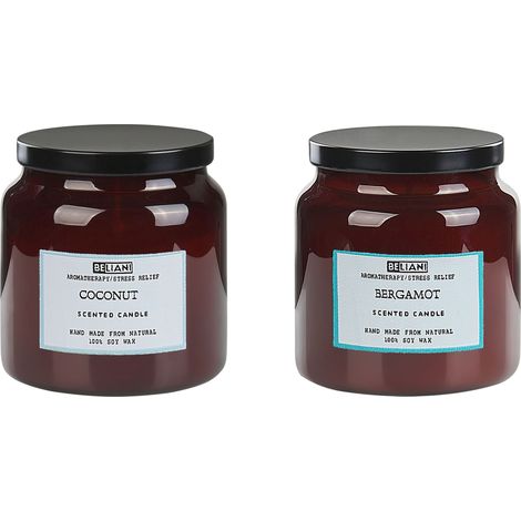 Set of 2 Scented Candles ABSOLUTE ALCHEMY Soy Wax Fresh Notes (1/5)