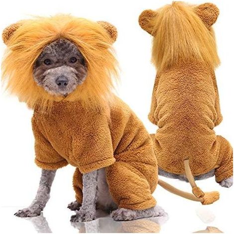 Vêtements pour chien (Golden Retriever Lion M)-Fei Yu