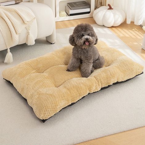 Tapis Pour Animaux - Tapis Chauffant Pour Chien Et Chat - En Polyester Et Spandex - 45 X 30 Cm - Lavable En Machine - 1 Pièce (1/5)