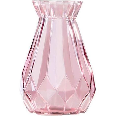 Vase en verre, grand vase transparent, terrarium pour plantes hydroponiques, pot de fleurs, centre de table (1/5)