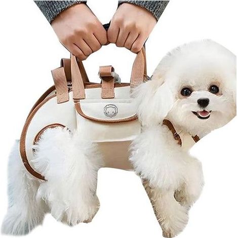Sac à dos de transport pour animaux - Sac à dos pour chien avec pochette à friandises - Sac de transport portable et ajustable pour les sorties, promenades et entraînements en toute sérénité (1/5)