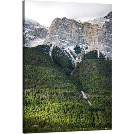 Leinwanddruck Natur Berghang Bäume 80x120