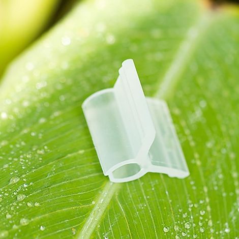 Lot de 100 clips de greffage en plastique transparent pour plantes de légumes, aide à la greffe de tomate, concombre et support de vigne, convient pour plusieurs étapes de croissance (3 mm) (1/5)