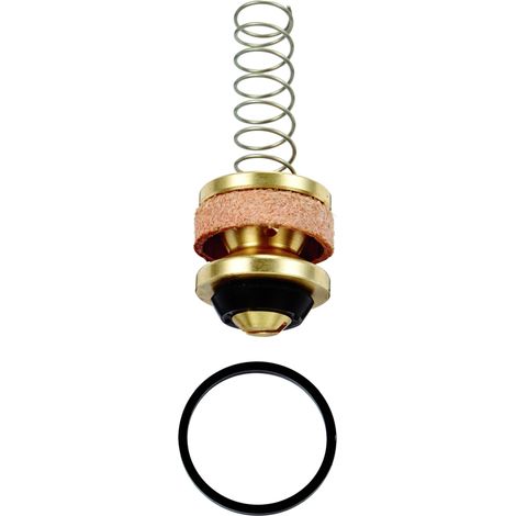 GROHE pistón 43450 completo para descargador de urinario (1/4)