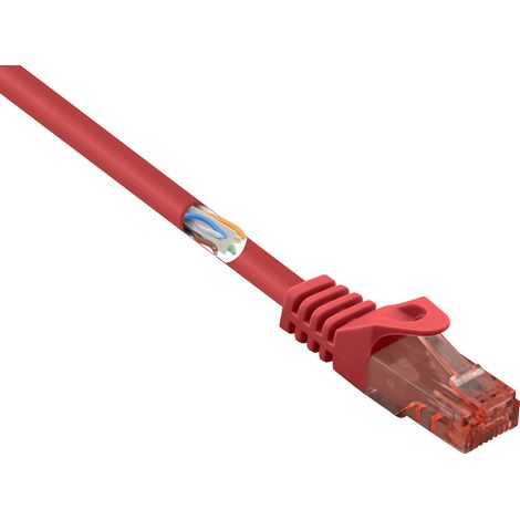 Renkforce RF-5047416 RJ45 Patchkabel CAT 6 U/UTP 0.50 m Rot mit Rastnasenschutz, Flammwidrig 1 St. (1/4)