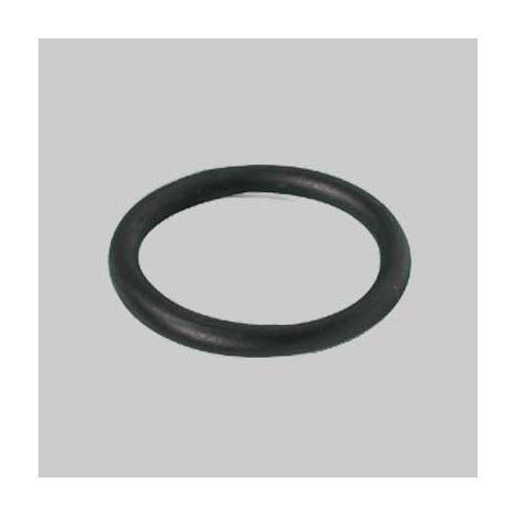 ANELLO O-RING Ø 18,4x2,7 mm