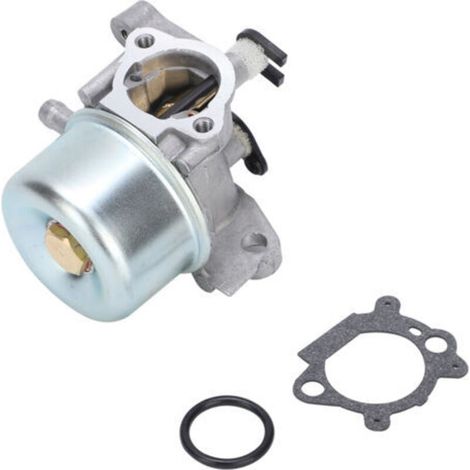 Carburador universal para equipos de jardinería compatible con los modelos Briggs & Stratton 790845 799871 799866 796707 794304 - (1/4)