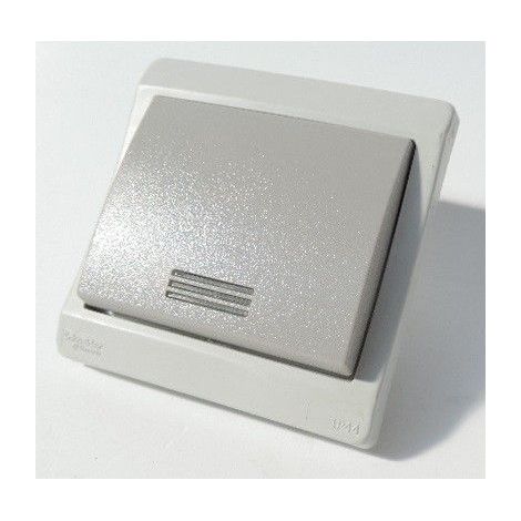 Schneider ENN34028 Bouton-poussoir lumineux - gris - encastré - IP44 IK08