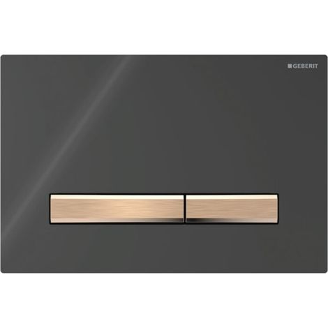 Geberit Sigma50 Betätigungsplatte für 2-Mengen-Spülung,