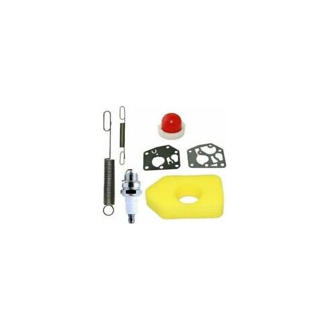 Kit d'entretien pour tondeuse à gazon 698369 Filtre à air adapté aux moteurs Briggs Stratton Classic et Sprint (1/5)