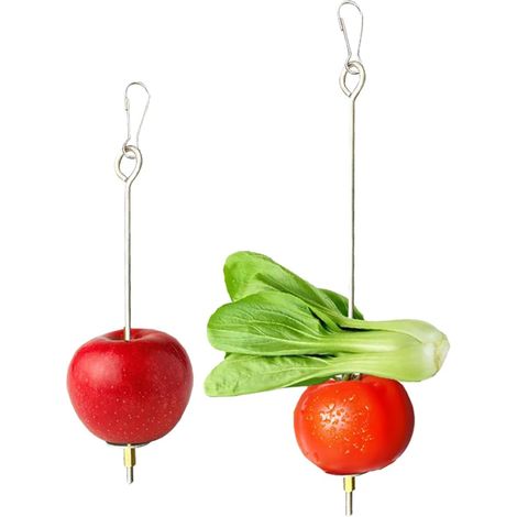 Stainless Steel Parrot Food Skewers, Fruit Holder, Meat Food Stick, Bird Cages, Animal Toy Parakeet, Chinchillas Feeder Tools, Vegetable Stand (1/5)
