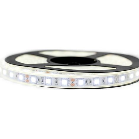 Sysled – Ruban LED 5050 blanc froid étanche IP67 – 60 LEDs/m – 780 lumens/m – 12V DC – Longueur 5 mètres – Installation facile