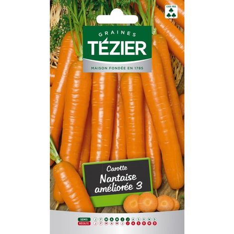 Tezier - Carotte Nantaise améliorée 3 Fort Grammage (1/2)