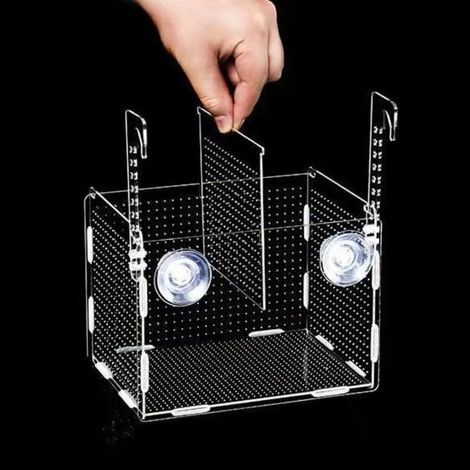 Boîte D'élevage Pour Aquarium - 1 Unité - Acrylique Transparent - Isolement Et Frai - Protection Alevins - 8x8x8cm (1/4)