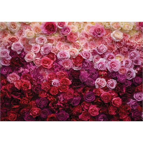 Papier peint mural roses fleurs nature intissé grand format design intérieur salon chambre pas cher 150x105 cm (1/5)