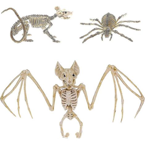 3-teiliges Halloween-Set: Fledermaus-Skelett, Spinnen-Skelett, Mäuse-Skelett – gruselige Tierknochen, realistische Fledermausknochen, Halloween-Dekorationen