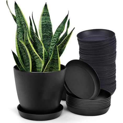 Soucoupe Pot Fleur 11,5Cm Noir en Plastique Pots de Fleurs Lot de 20 Soucoupes - Pot de Plantes Succulentes Rond Soucoupe pour Plantes d'Intérieur Et d'Extérieur (1/5)