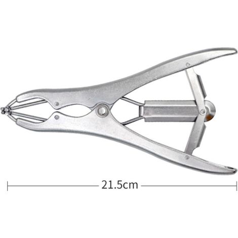 Pince à castration élastique en acier inoxydable pour bétail, porc, mouton, ceinture 100 anneaux en caoutchouc 21,5 cm Argent MNS (1/4)