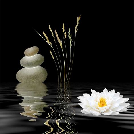 Tableau déco zen lotus 50x50 cm – Impression UVgel haute définition – Finition toile intissé premium – Résistant aux UV – Hxadeco (1/5)