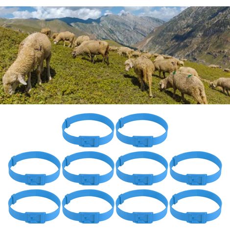 [Collares para ganado] 10 collares de PU azules de 59 cm para ganado, cabras, ovejas, caballos y vacas, collares ajustables para vacas y ovejas. (1/5)