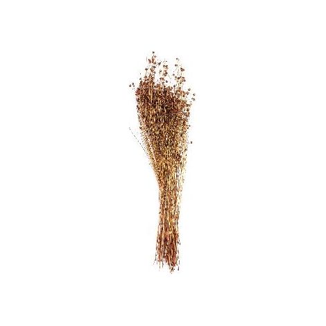 ANDREA HOUSE AX71136 Ramo Flor Seca Nat.Lino 100Gr. - ref: AX71136